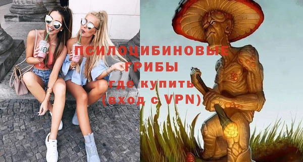 ПСИЛОЦИБИНОВЫЕ ГРИБЫ Магадан